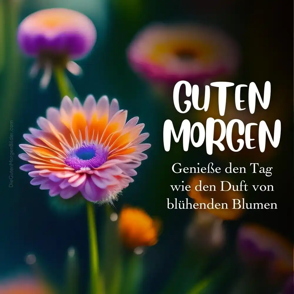 999 Neu Guten Morgen Bilder Morgen Gr e Spr che 999 Neu Guten Morgen Bilder Morgen Gr e Spr che
