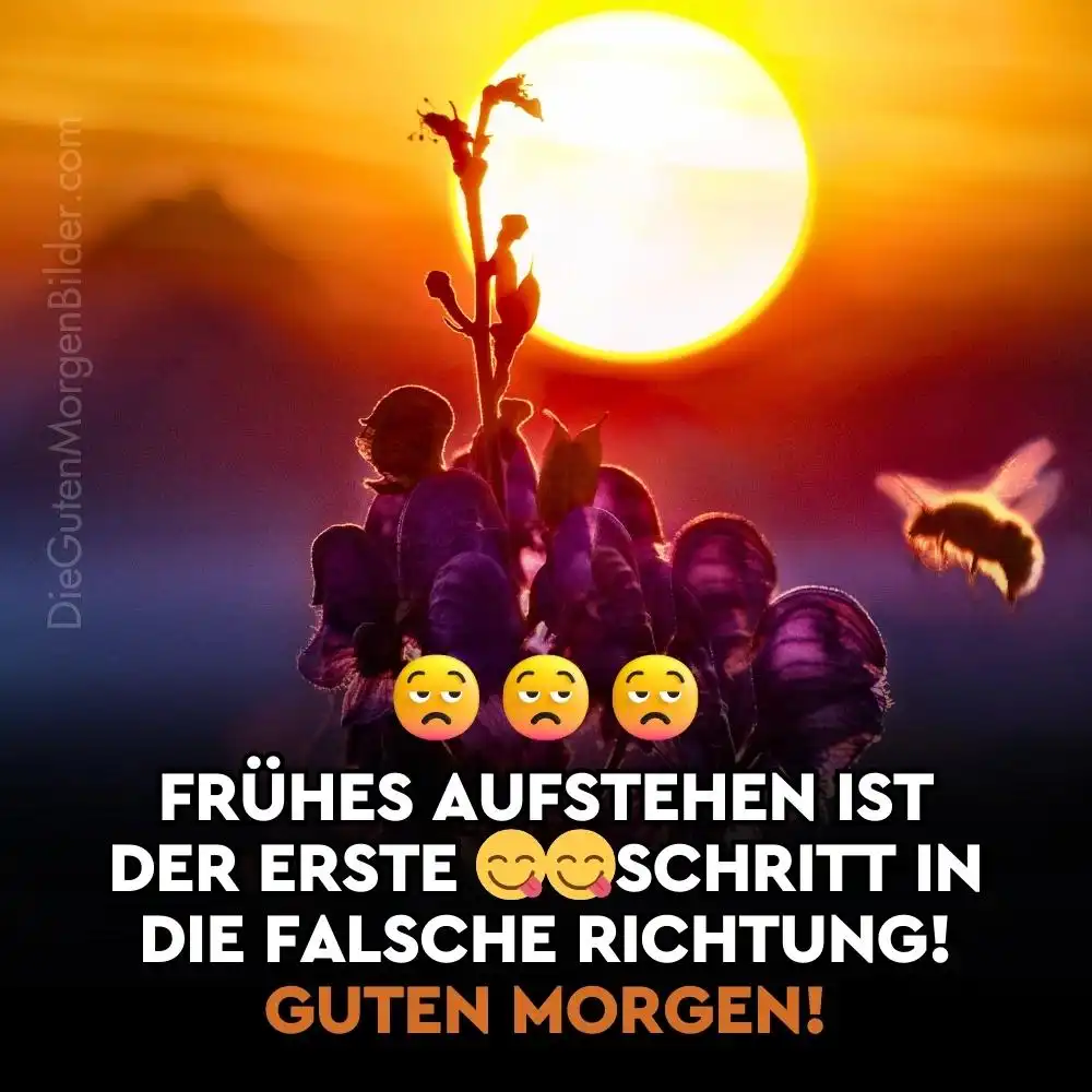 lustige guten morgen bilder kostenlos