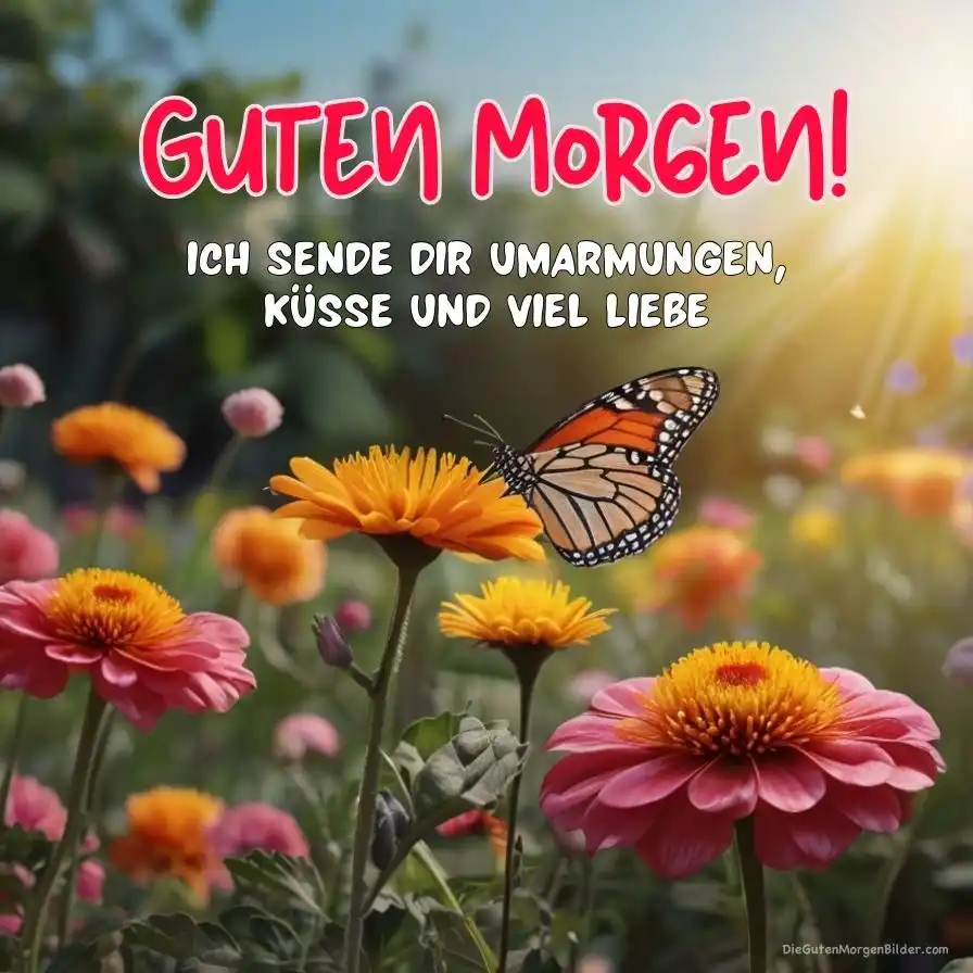  3500 Neu Liebe Guten Morgen Bilder HD Jetzt Herunterladen